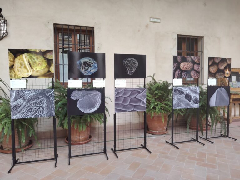 Exposición de obras de arte